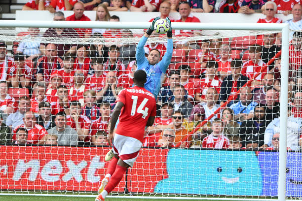 中绽放光彩 中绽放光彩