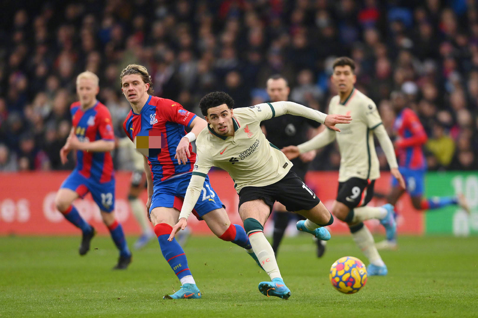 的多面性和 的多面性和